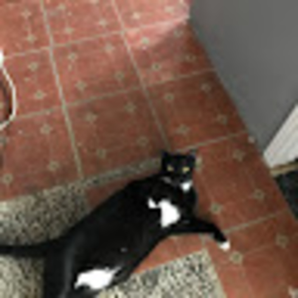 Meet your Posher, Adrienne